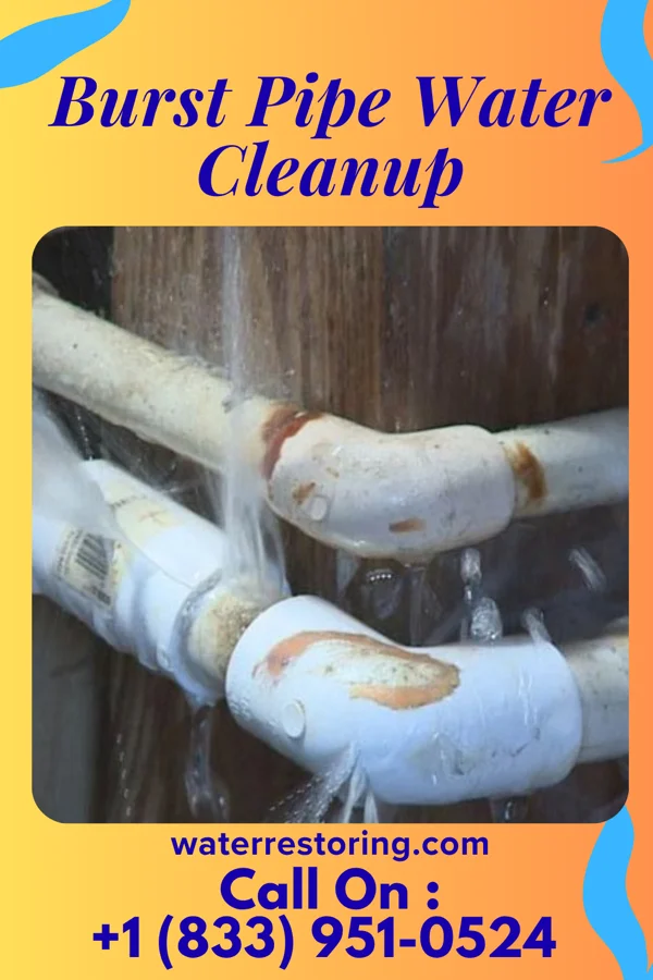 Burst Pipe Water Cleanup in Wildwood Lake, TN