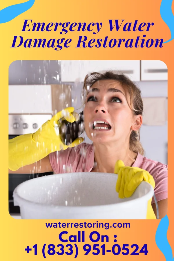 Emergency Water Damage Restoration in Wildwood Lake, TN