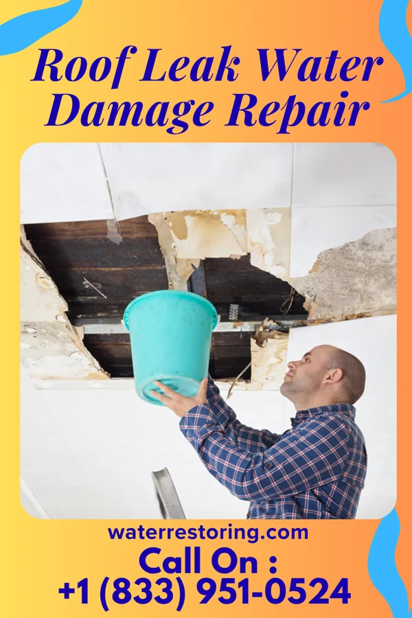 Roof Leak Water Damage Repair in Wildwood Lake, TN